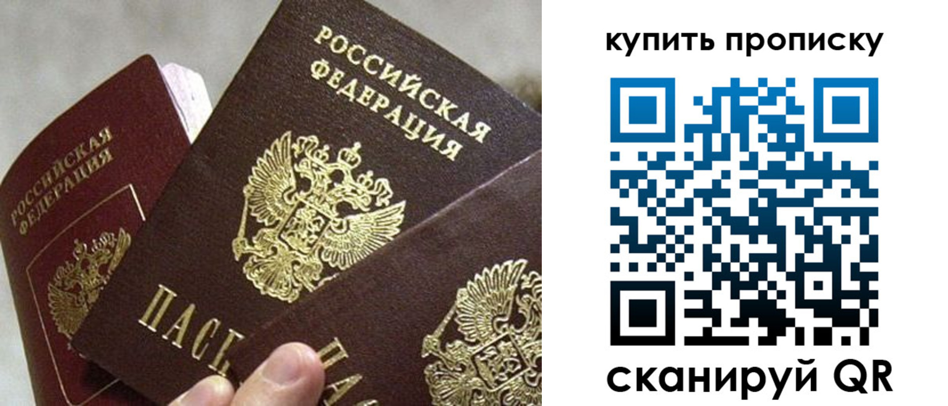 прописка для школы в Пионерском